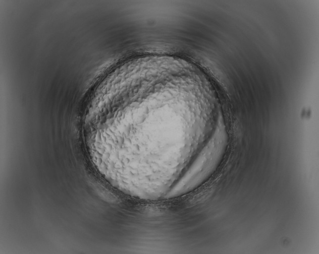 X0000090440305200708031200