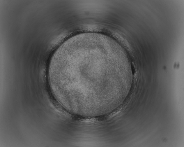 X0000090440306200708031200