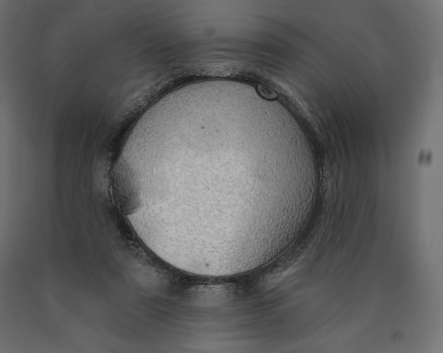 X0000090440307200708031200