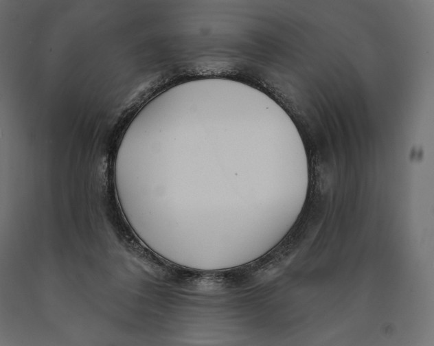 X0000090440308200708031200