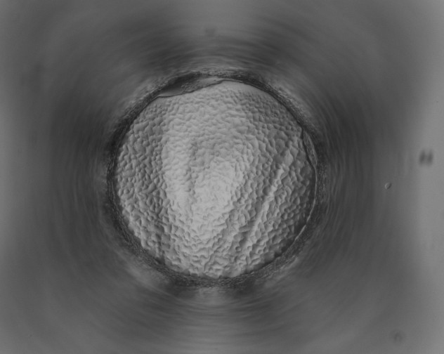 X0000090440309200708031200