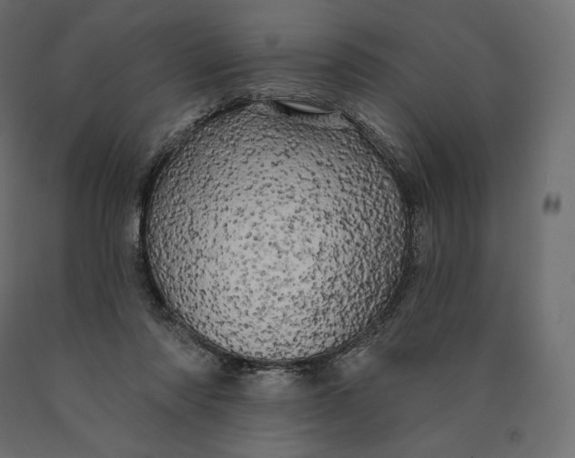 X0000090440310200708031200