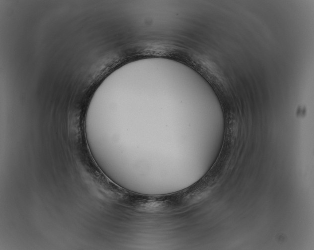 X0000090440312200708031200