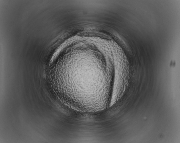 X0000090440313200708031200