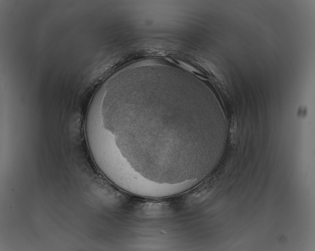 X0000090440314200708031200