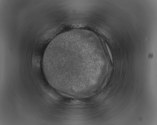 X0000090440315200708031200