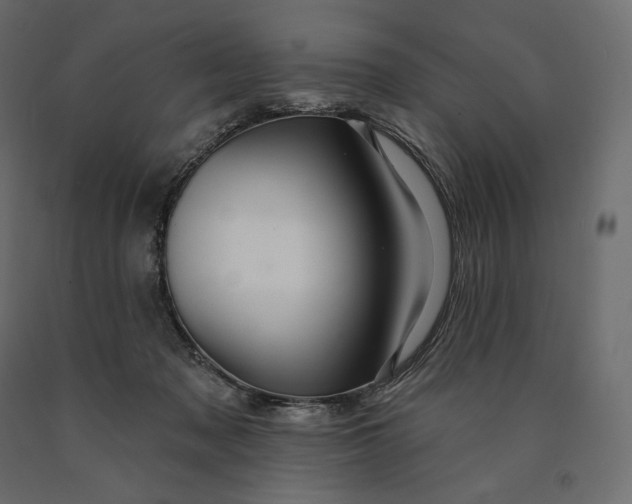 X0000090440317200708031200