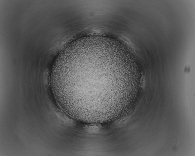 X0000090440318200708031200