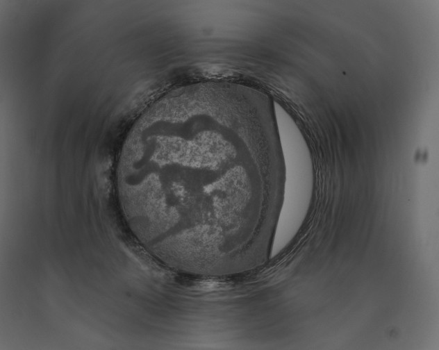 X0000090440319200708031200