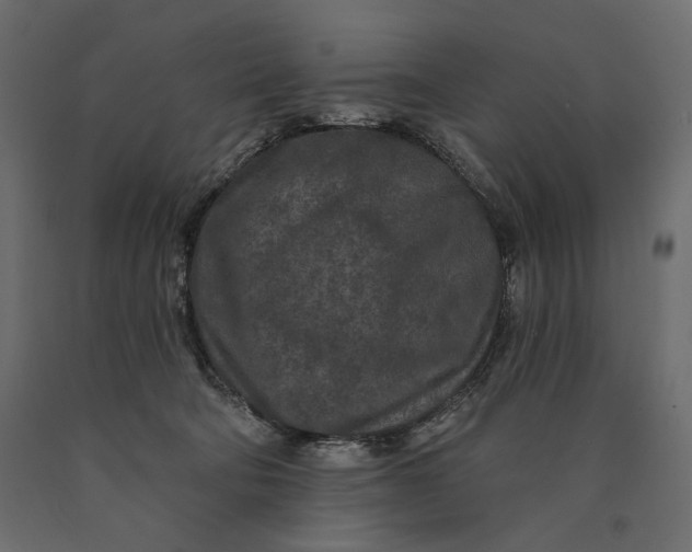 X0000090440322200708031200