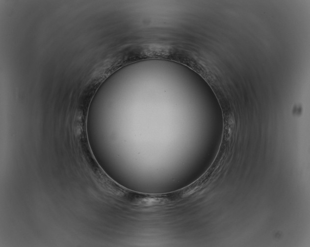 X0000090440323200708031200