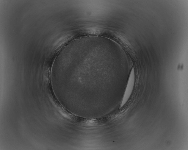 X0000090440325200708031200