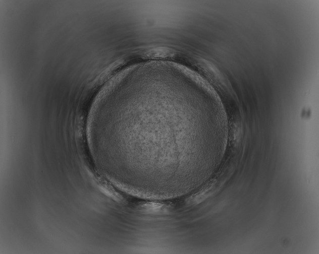 X0000090440326200708031200