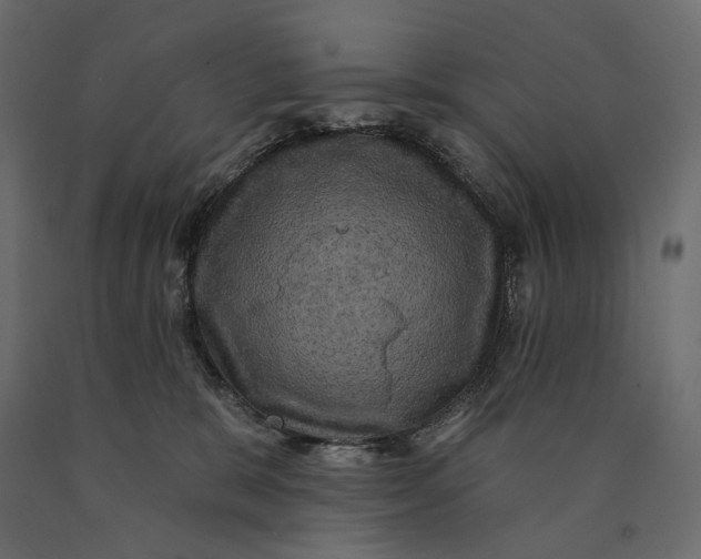 X0000090440327200708031200