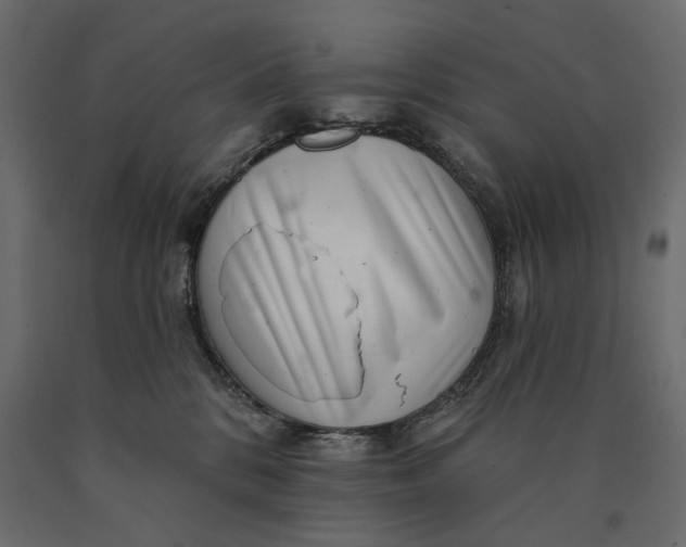 X0000090440328200708031200