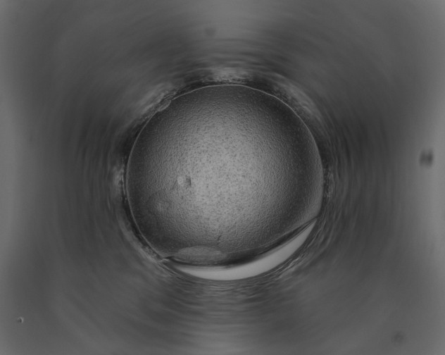 X0000090440329200708031200