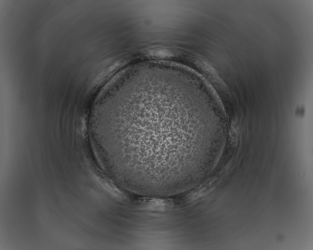 X0000090440330200708031159