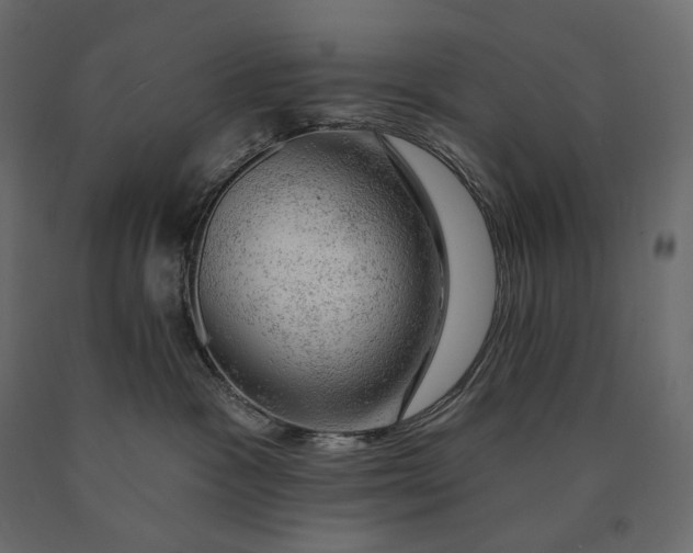 X0000090440333200708031159