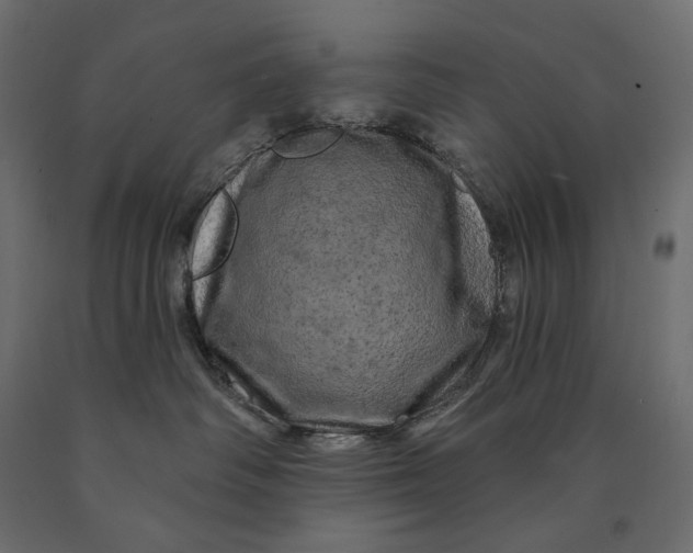 X0000090440334200708031159