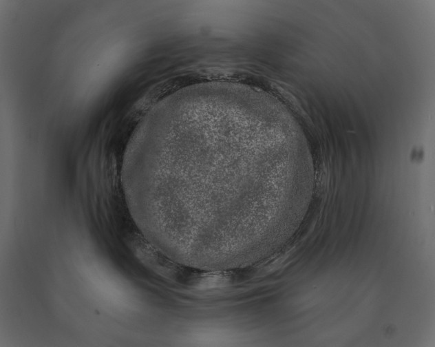 X0000090440335200708031159