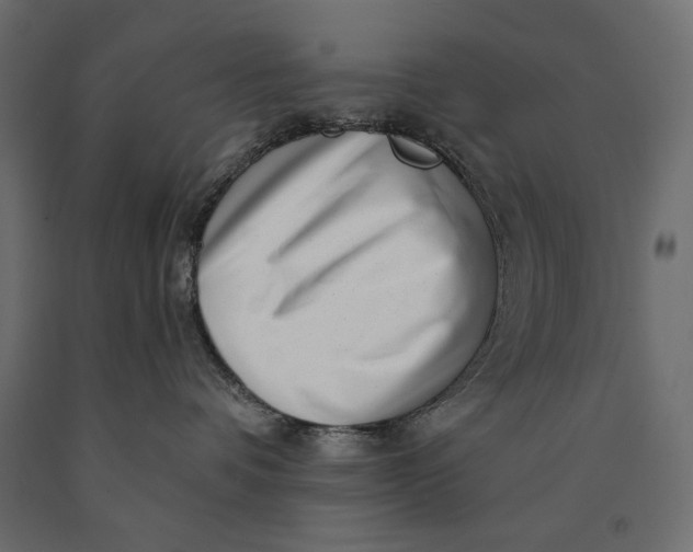 X0000090440336200708031159