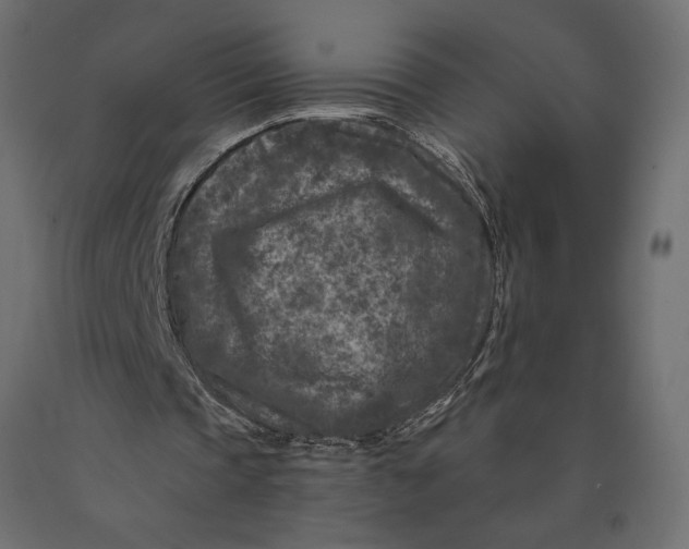 X0000090440337200708031159