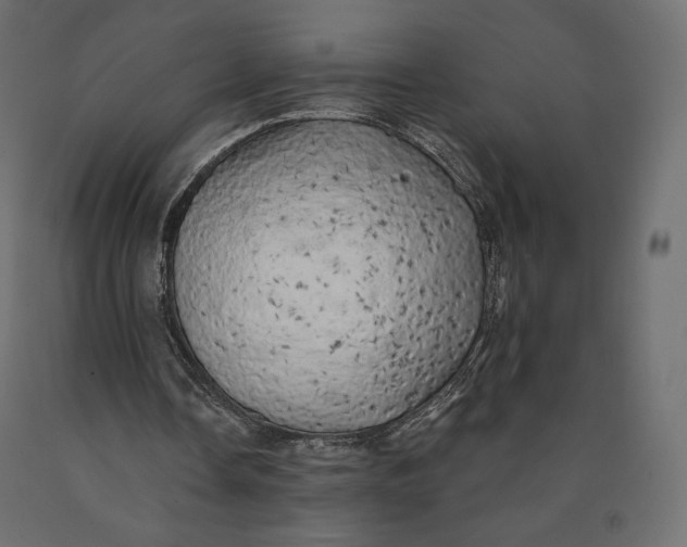 X0000090440338200708031159