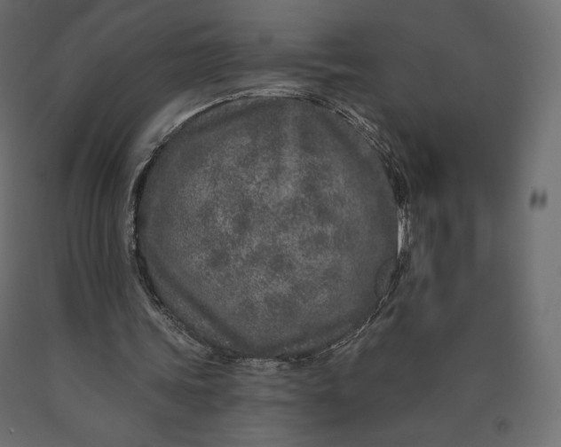 X0000090440339200708031159