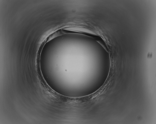 X0000090440340200708031159