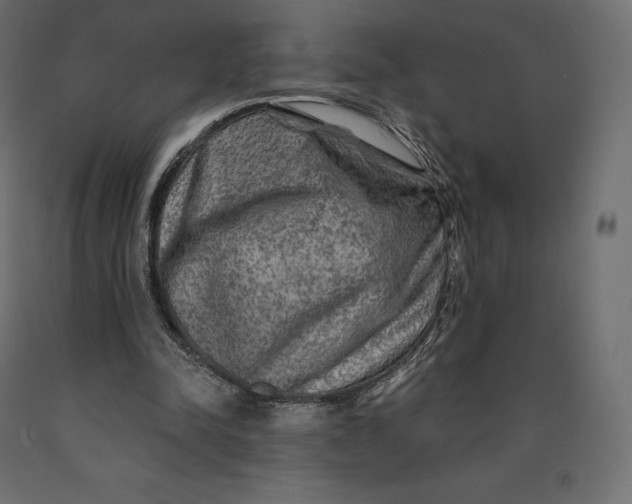 X0000090440342200708031159