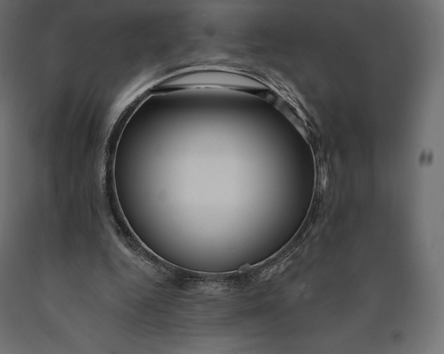 X0000090440344200708031159