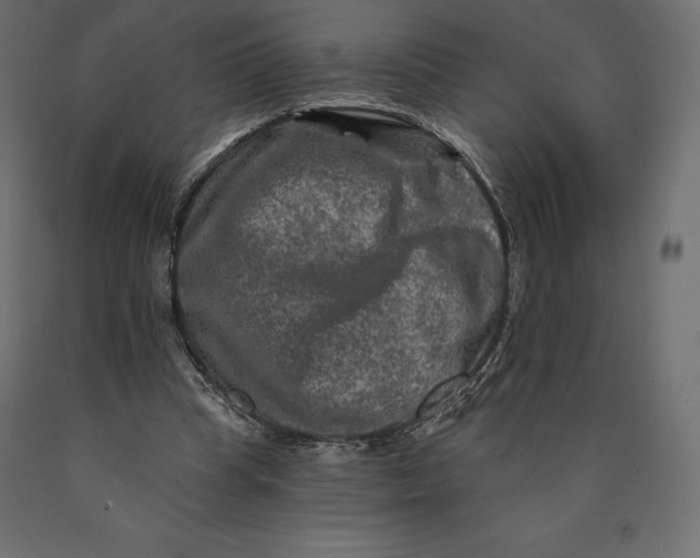 X0000090440345200708031159