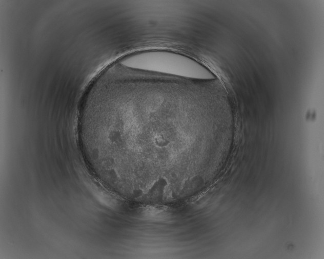 X0000090440346200708031159