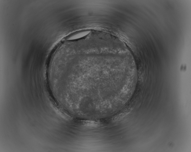 X0000090440347200708031159