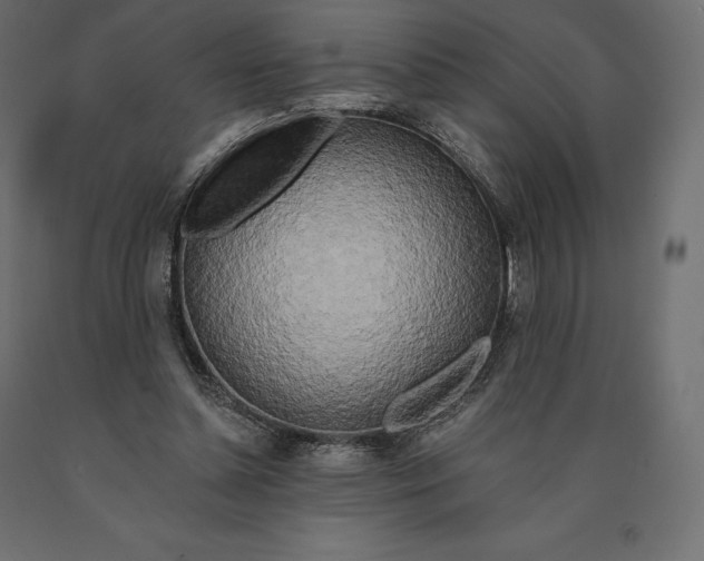 X0000090440348200708031159