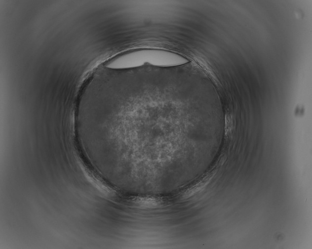 X0000090440349200708031159