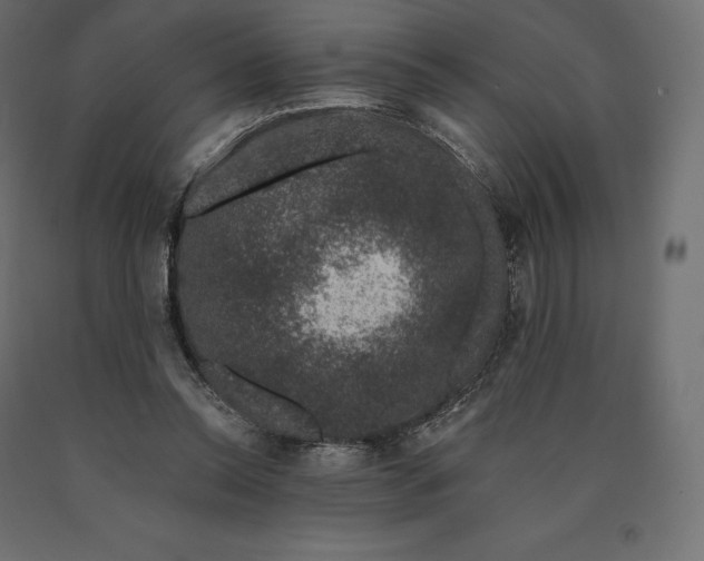 X0000090440350200708031159