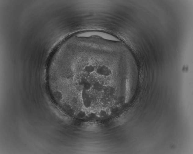 X0000090440351200708031159