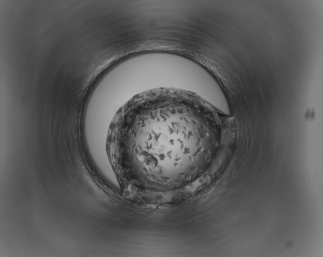 X0000090440352200708031159