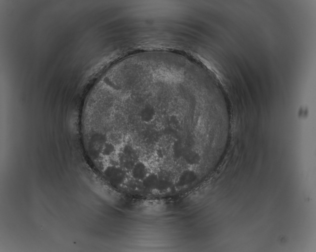 X0000090440353200708031159