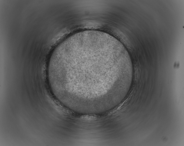 X0000090440354200708031159