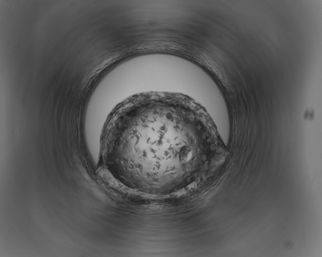 X0000090440356200708031159