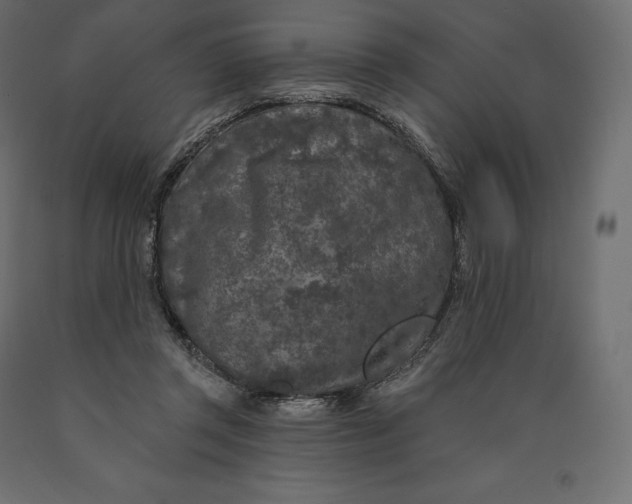 X0000090440357200708031159