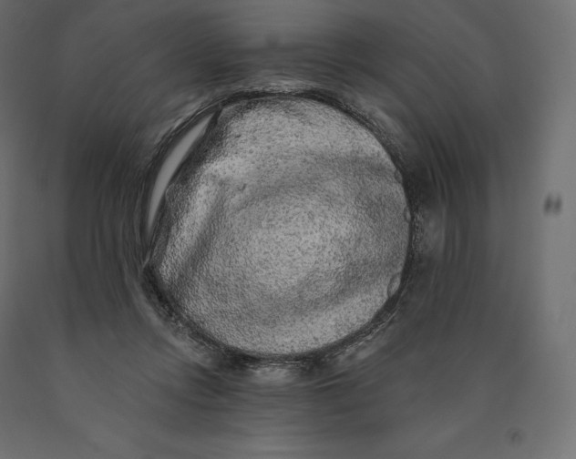 X0000090440358200708031159