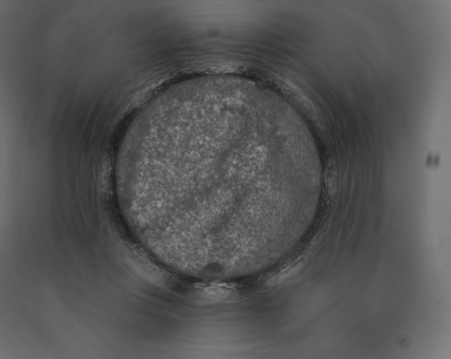 X0000090440359200708031159