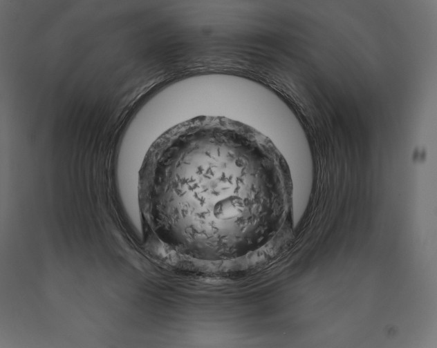 X0000090440360200708031159