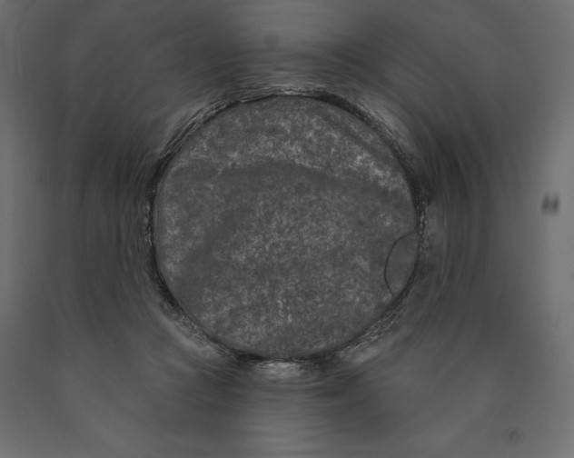 X0000090440361200708031159