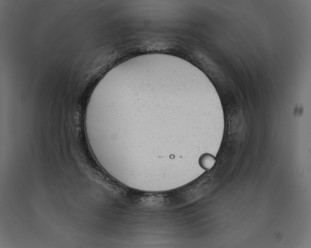 X0000090440362200708031159