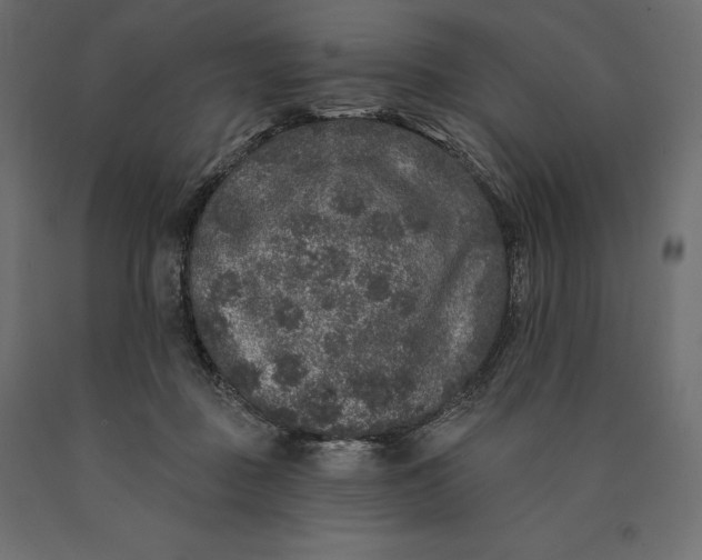 X0000090440363200708031159