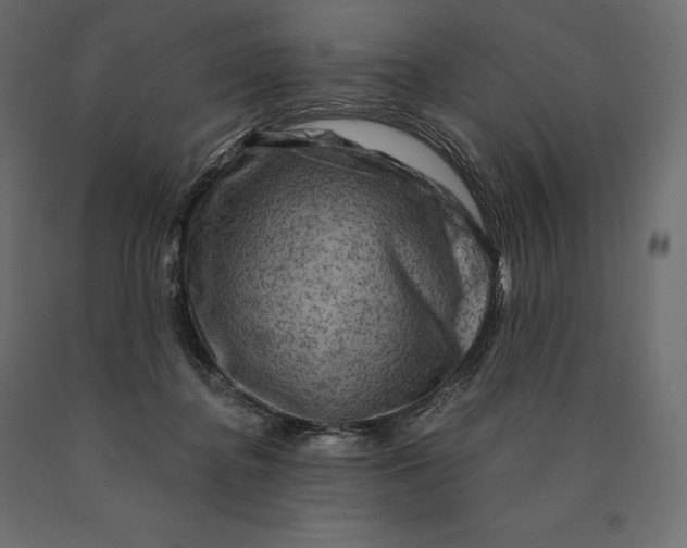 X0000090440364200708031159